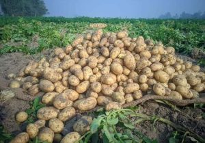 1ecfabae-4680-436c-9388-ce2dfb8cc3d0