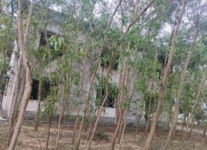 64cfef04-4148-4300-88de-d86b03573755