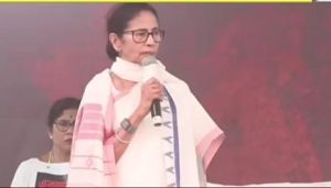 90320cf3-dd44-4d02-8ffe-4ff95c3ae26e